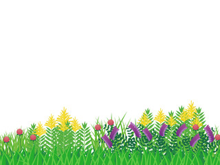 Obraz premium 雑草の背景_セイタカアワダチソウ_ナヨクサフジ_アカツメクサ_白