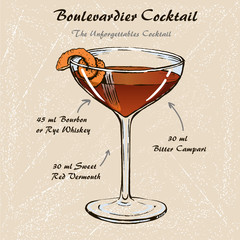 Boulevardier cocktail recipe vector with orange twist 3
