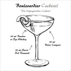 Boulevardier cocktail recipe vector with orange twist sketch