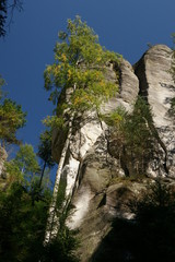 Rocks in Adrspach (Czech republic)