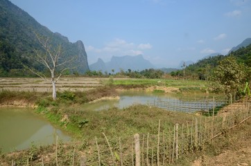 Landschaft bei Vang Vieng, Laos