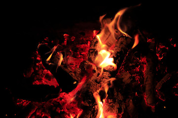 fire in the wood