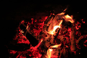 Fototapeta na wymiar fire in the wood