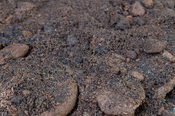 Unused coffee grounds are useful. By bringing to dry for use as fertilizer Used on all plants and for exfoliation