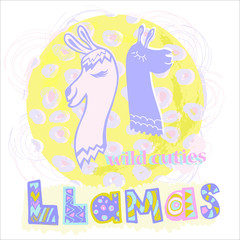 two stylized llama heads on an abstract background and the inscription llama multicolored text for kids, cute print or clipart for typography