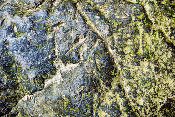 Tropical stone background