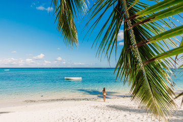 Fototapeta na wymiar Young bikini woman relaxing at tropical palm beach. Tropical vacation banner