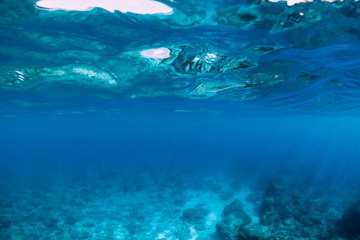 Fototapeta na wymiar Tropical transparent sea underwater in tropics
