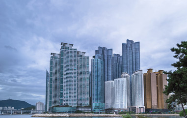Fototapeta na wymiar modern skyscrappers view from APEC Naru Park in Busan