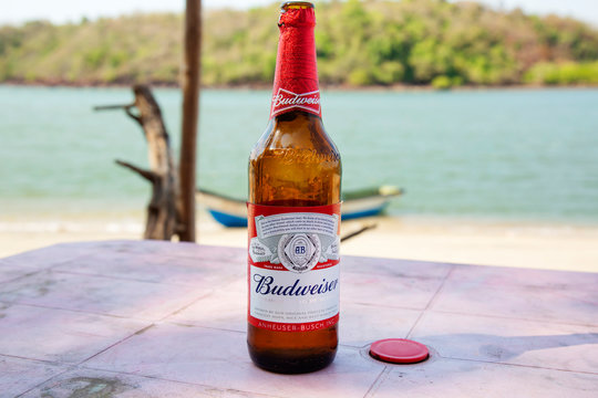 Arambol, Goa, India, 19 March, 2020: Budweiser beer bottle on the beach restaurant table with sea background, Illustrative editorial