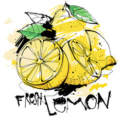 Fresh Lemon Sketch isolated on white