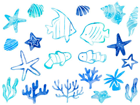 3 Best チョウチョウウオ Images Stock Photos Vectors Adobe Stock