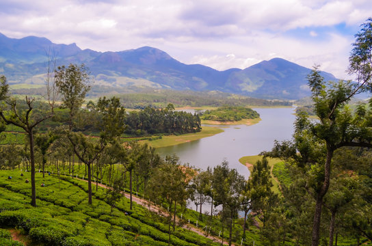 Amazing Tea Plantations with Lake view at Munnar in Kerala.