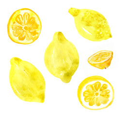 Watercolor yellow set of lemon. Hand drawn illustration isolated on white background. Citrus bright fruits.