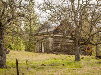 Old Homestead Cabin in Central Oregon 