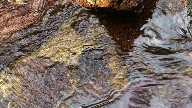 流れる綺麗な小川のクローズアップ  音声あり
