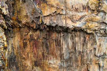 Wooden pattern with copy space, shot macro.