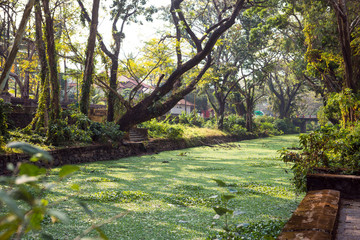 River channel city Allapuzha, India, Kerala. Overgrown with green algae, in a stone embankment, a narrow channel through the city with overhanging branches of tropical trees.