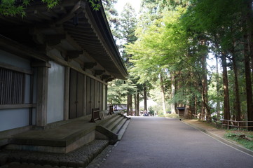 Obraz premium This is a picture of Chusonji Temple in Japan. This is a World Heritage Site. The Golden Hall in the temple is positioned as a national treasure.