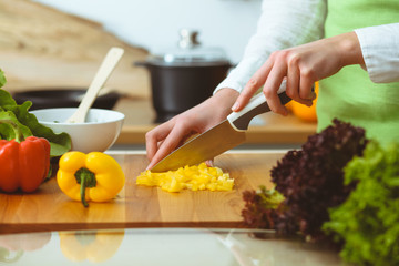 Unknown human hands cooking in kitchen. Woman slicing yellow bell pepper. Healthy meal, and vegetarian food concept