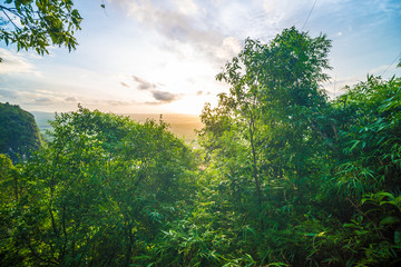 Morning sunrise on green forest mountain
