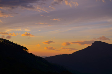 Amazing Tea Plantations with Lake view at Munnar in Kerala.