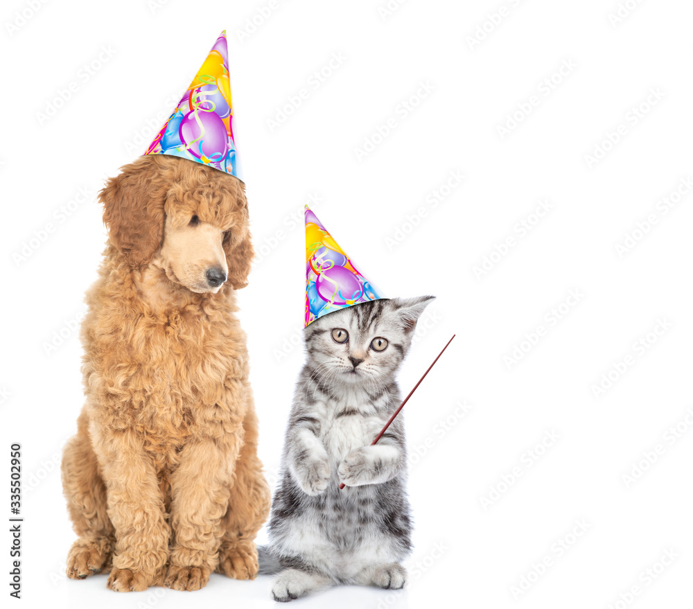 Poster dog and kitten wearing birthday`s hats. cat points away on empty space. isolated on white background