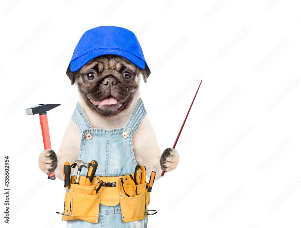 Poster pug puppy wearing blue cap, overalls with tool belt holds a hammer and points away on empty space. i