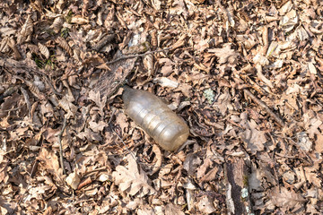 A dirty plastic and glass bottle left in the autumn forest. Plastic waste in the environment.