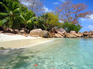 Obraz na płótnie Canvas tropical beach in seychelles
