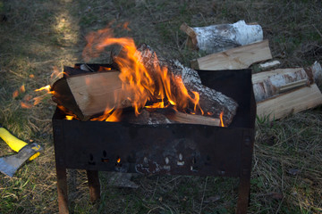 The wood that was laid and set on fire in the grill. Next to the grass are more wood and an axe