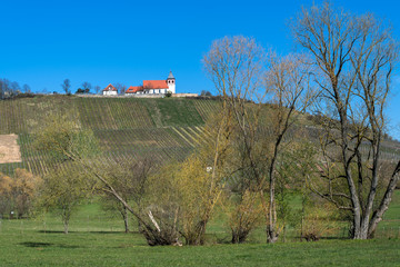 Michaelsberg bei Cleebronn