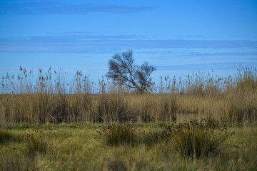 Bord de mer en Italie par un jour d'hiver ensoleillé