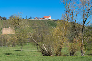 Michaelsberg bei Cleebronn