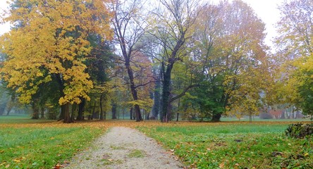 Park strzelecki w jesienne mgle polska