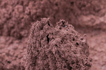 Ant Hill With Blurred Background