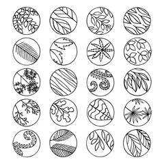Black and white set of different leaves and stems of plants drawn in black liner and enclosed in circles.

