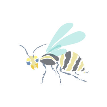 Wasp. Colored, painted. White background. Vector nature illustration.