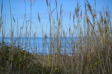 Bord de mer en Italie par un jour d'hiver ensoleillé