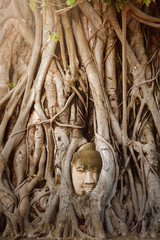 Amazing sand stone buddha head in tree root in Mahathat temple, Ayutthaya  Thailand, UNESCO world heritage.