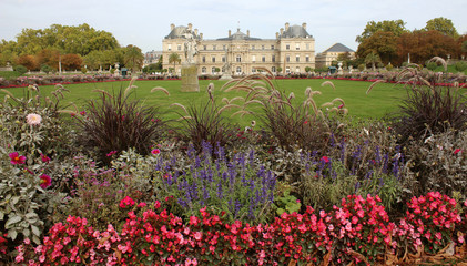 Fototapeta na wymiar Paris - Jardins du Luxembourg - Sénat