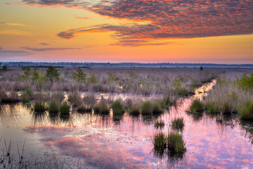 Sunrise over Fochteloerveen swamp