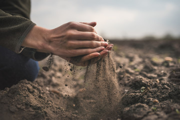 Female hands pouring a black soil in the field. Female agronomist testing a quality of soil. Concept of agriculture. - 335510907