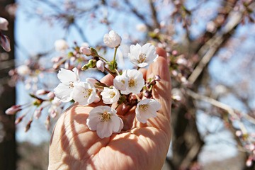 한국 인천시 남동구 인천대공원 입니다