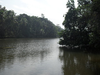 goa river