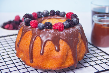 tasty homemade vanilla bunt cake with berries.