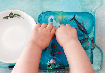 A small child is trying to get animal figures out of ice. The development of children's motor skills using the touch box - obrazy, fototapety, plakaty