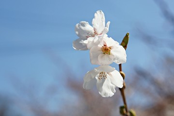 한국 인천시 남동구 인천대공원 입니다