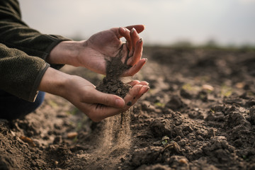 Female hands pouring a black soil in the field. Female agronomist testing a quality of soil. Concept of agriculture. - obrazy, fototapety, plakaty