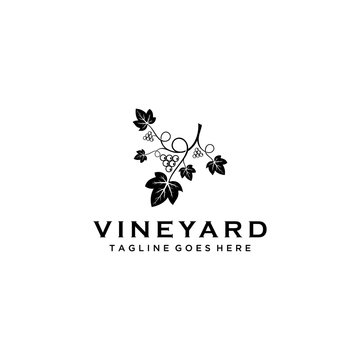 The Wine logo design template. Grape Vector illustration of icon